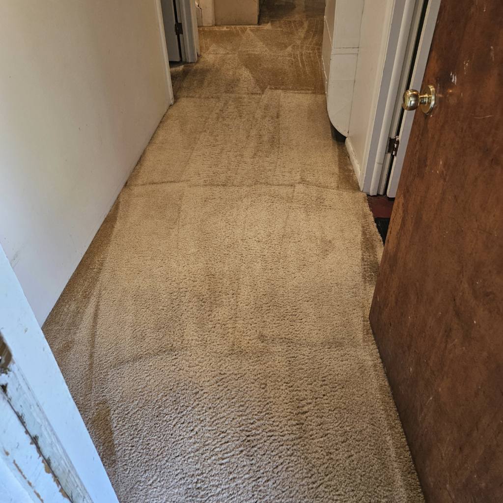 clean hallway carpet after professional cleaning Omaha NE traffic lanes removed residential carpet cleaning Omaha Nebraska