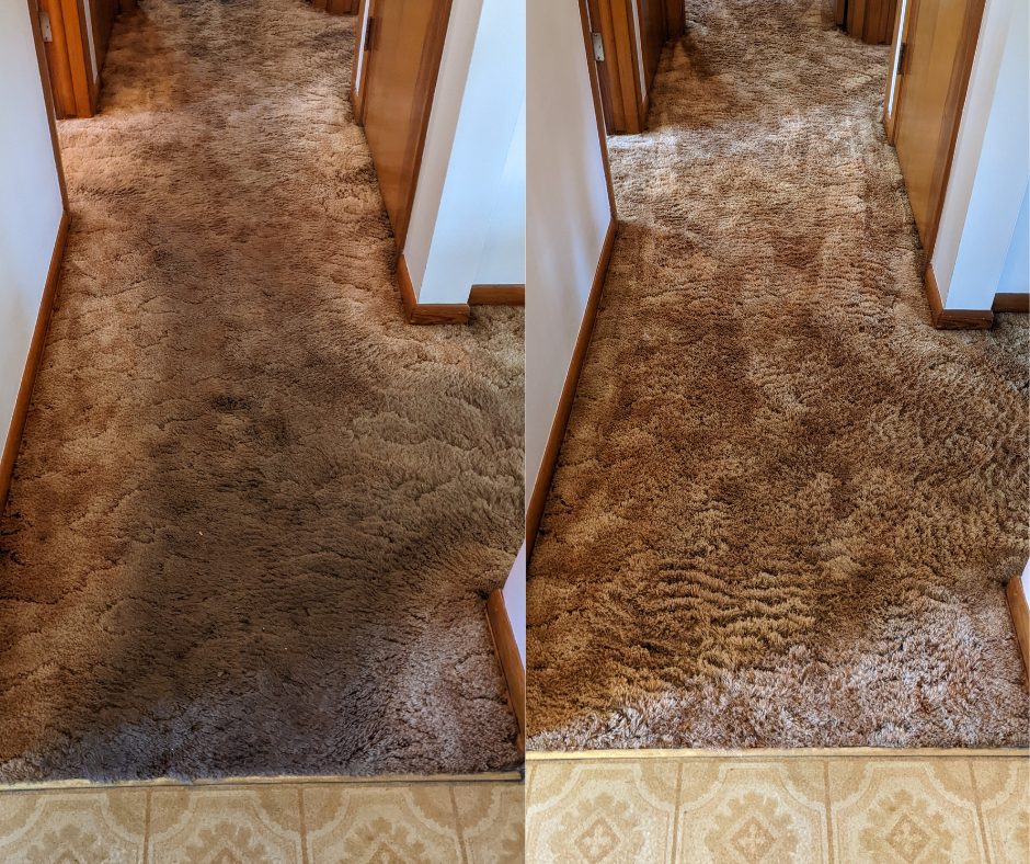 Carpet restored after professional deep cleaning in Omaha Nebraska by Triple J Cleaning of Omaha